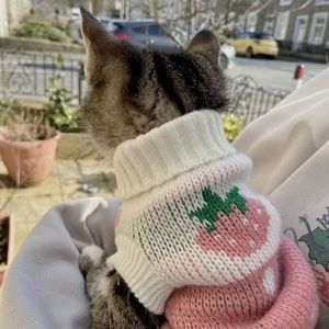 Meet your Posher, Irene